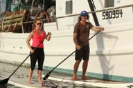 Charleston Stand Up Paddleboard Dolphin Safari thumbnail 4