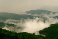 Gatlinburg Smoky Mountain Guided Hike thumbnail 6