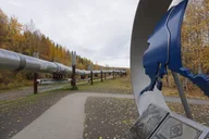 Fairbanks City Highlights Tour thumbnail 4