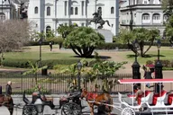 New Orleans Private Guided City Tour thumbnail 2