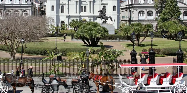 New Orleans Private Guided City Tour - Image 2