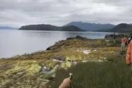 Ketchikan Electric Bike and Rainforest Hike Tour thumbnail 3