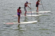 Miami Biscayne Bay Kayak or Paddleboard Rental thumbnail 2