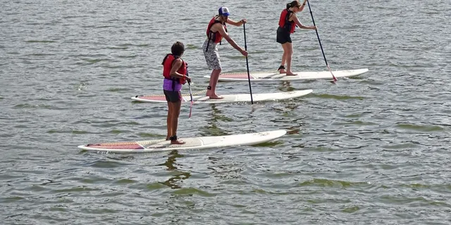 Miami Biscayne Bay Kayak or Paddleboard Rental - Image 2