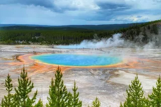 Yellowstone Lower Loop Private Tour from Bozeman