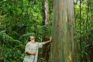 Kona Cloud Forest Sanctuary Jungle Tour thumbnail 4