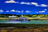 Myrtle Beach Dolphin Cruise Murrells Inlet 75 min thumbnail 2