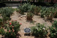 Sacramento Scavenger Hunt Adventure thumbnail 6