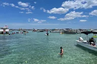 Destin Pontoon Tour to Crab Island with Captain thumbnail 4