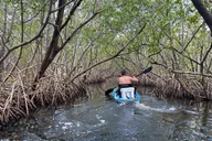 Tierra Verde Kayak Adventure at Shell Key Preserve thumbnail 4
