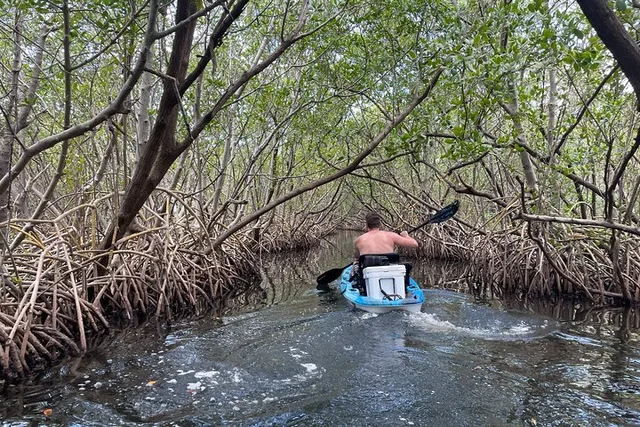 Tierra Verde Kayak Adventure at Shell Key Preserve - Image 4