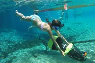 Destin Cypress Springs Eco Adventure thumbnail 6