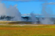West Yellowstone Lower Loop Van Tour thumbnail 6