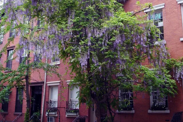 New York City Greenwich Village Walking Tour - Image 2