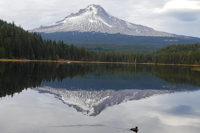 Portland Mt. Hood Loop Tour - Image 2