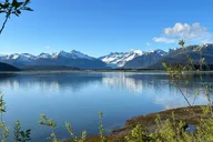 Juneau Rainforest Hike and City Tour thumbnail 2