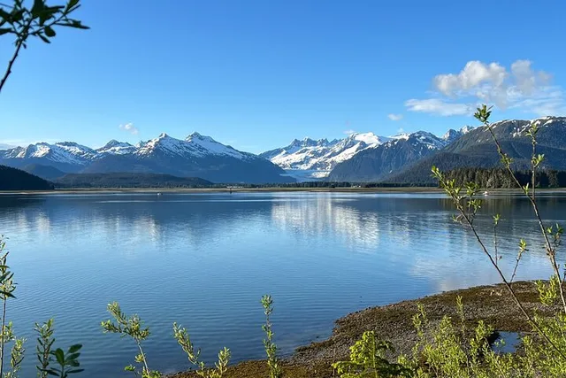 Juneau Rainforest Hike and City Tour - Image 2