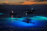 Kailua-Kona Manta Ray Night Snorkeling Adventure thumbnail 2