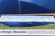 Seattle Olympic National Park Day Tour thumbnail 3