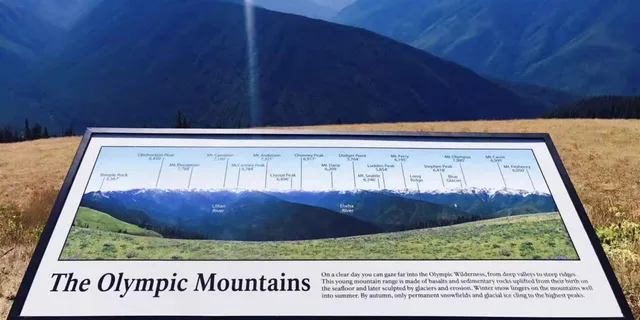 Seattle Olympic National Park Day Tour - Image 3