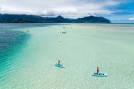 Kaneohe Sandbar Snorkeling Tour thumbnail 2