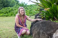 Honolulu Historical Tour thumbnail 6
