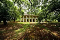 New Orleans Plantation and Swamp Tour with Transportation thumbnail 5