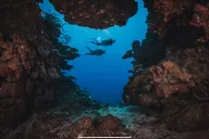 Waikiki Wreck and Reef Dive thumbnail 5