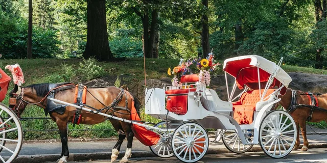 New York City Nighttime Carriage Ride Central Park and Rockefeller Center - Image 5