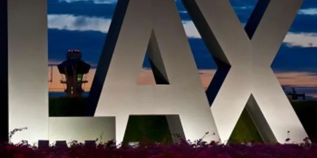 Los Angeles Private Transfer - Image 3