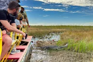 Miami Everglades Eco Adventure thumbnail 6