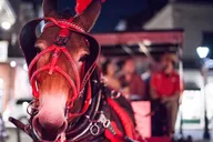 New Orleans Haunted History Carriage Tour thumbnail 3