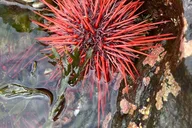 Ketchikan Private Tour thumbnail 4