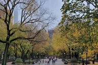 New York Central Park Pedicab Tour 1 hr thumbnail 2