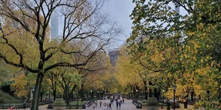 New York Central Park Pedicab Tour