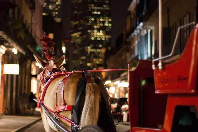 New Orleans Haunted History Carriage Tour - Image 4