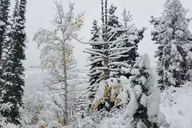 Uinta Forest Hike with Charcuterie Stop thumbnail 2