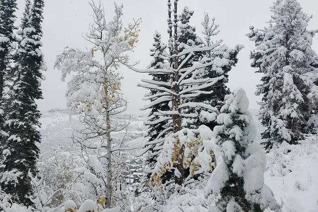 Uinta Forest Hike with Charcuterie Stop - Image 2