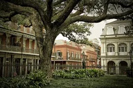 New Orleans Walking Tour in the Lower French Quarter thumbnail 2