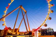 Las Vegas High Roller Entry with Open Bar thumbnail 6