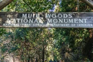 San Francisco Muir Woods and Sausalito Bay Cruise thumbnail 4