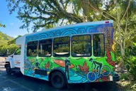 Oahu North Shore Waimea Waterfall Tour 8 hr thumbnail 5