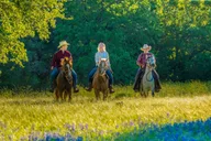 Waco Horseback Riding Tour with Cowboy Guide thumbnail 4