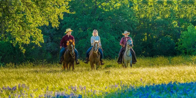 Waco Horseback Riding Tour with Cowboy Guide - Image 4