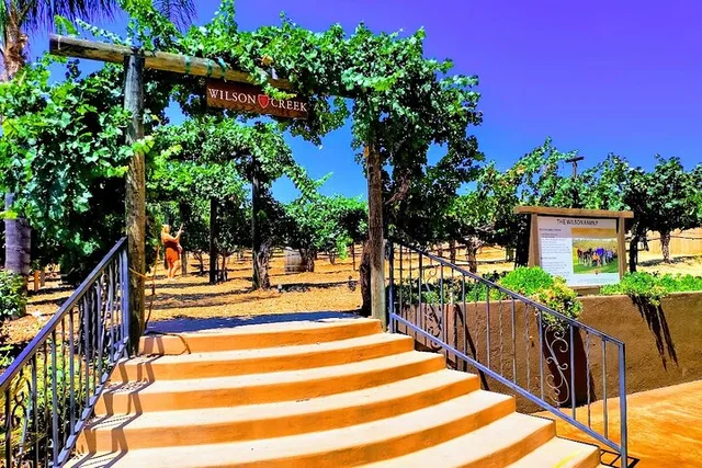 Los Angeles Temecula Wine Tour - Image 1