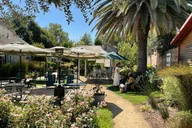 Santa Barbara Wine Country Private Tour from Los Angeles thumbnail 4