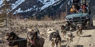 Skagway Sled Dog and Scooter Adventure
