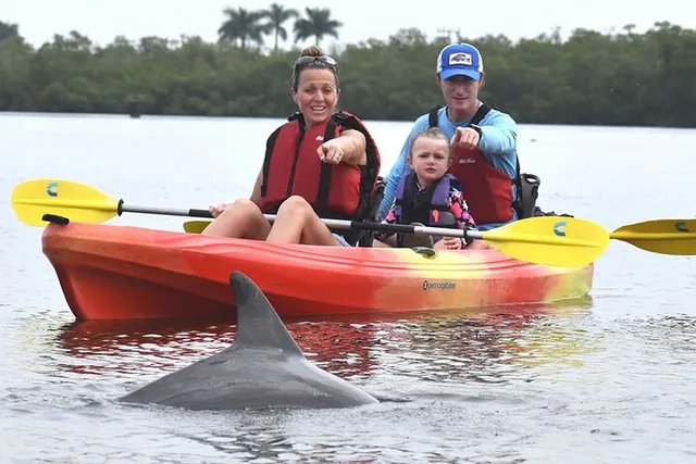 Marco Island Mangrove Kayak Tour with Photographer - Image 2