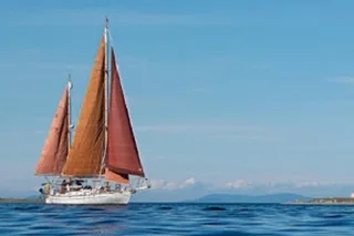 Sequim Sailing Charter in Sequim Bay