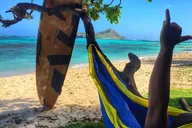 Oahu Island Jeep Tour thumbnail 4